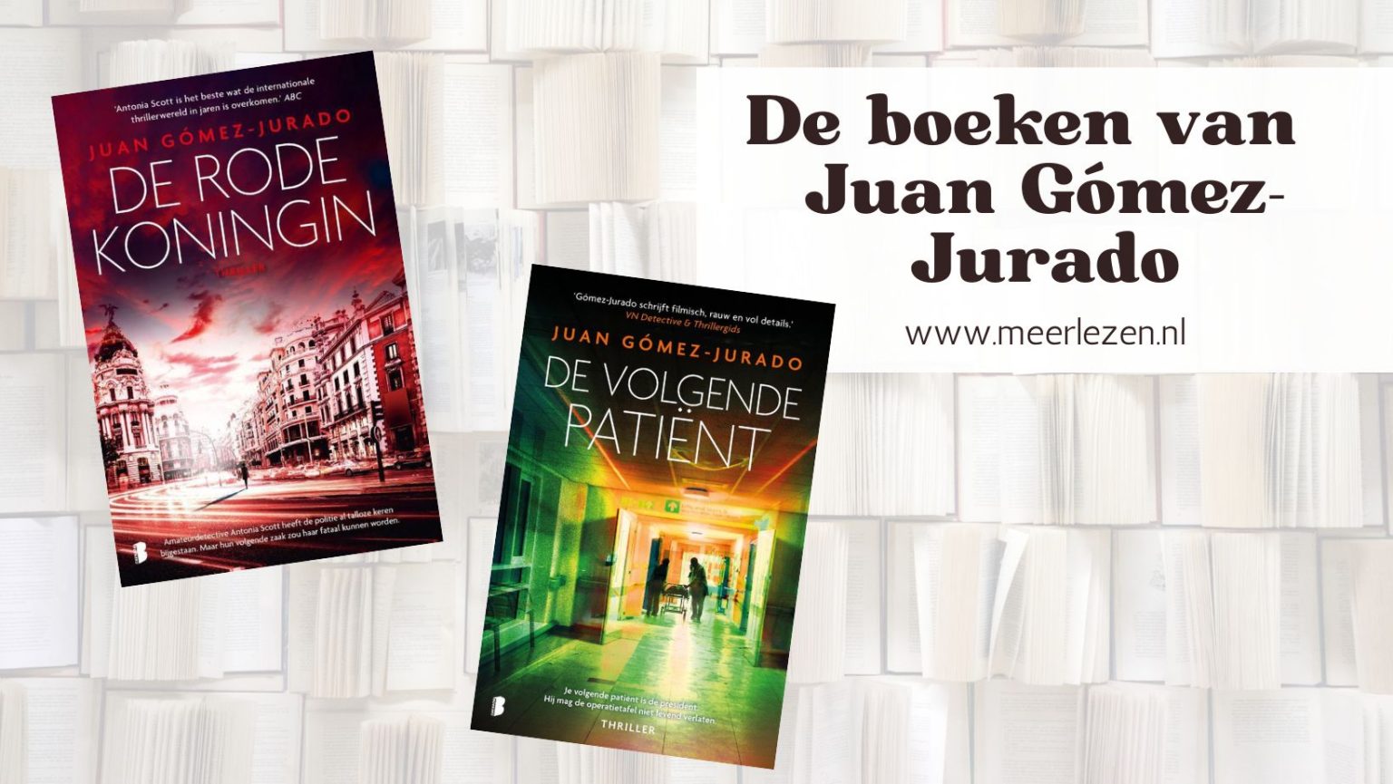 De boeken van Juan Gómez-Jurado: Antonia Scott op volgorde en meer