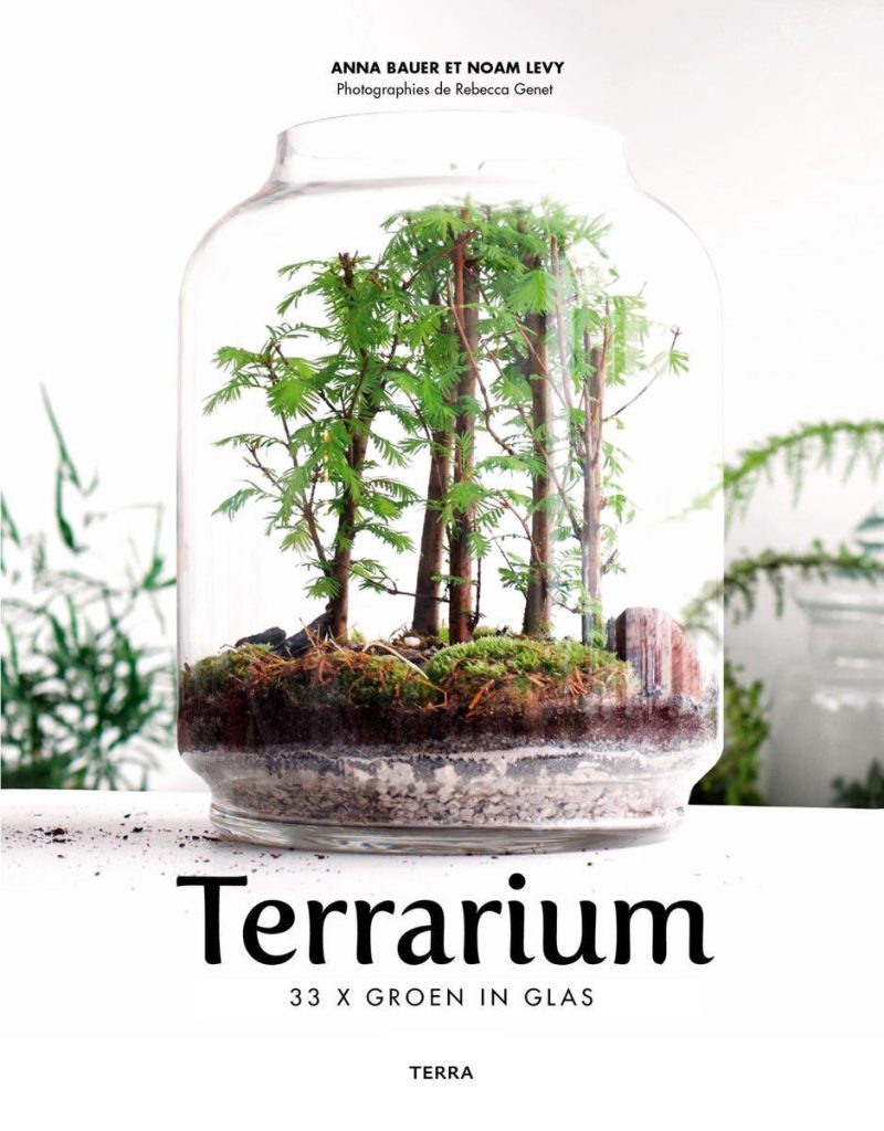 Terrarium - Noam Levy & Anna Bauer