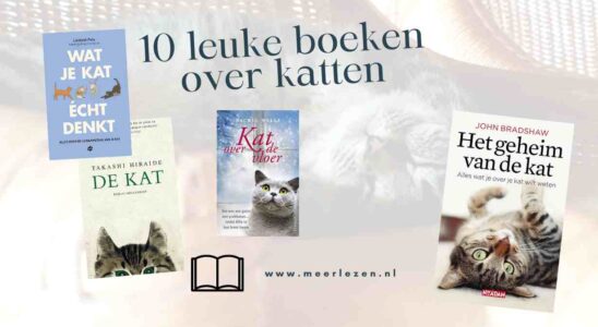 10 leuke boeken over katten